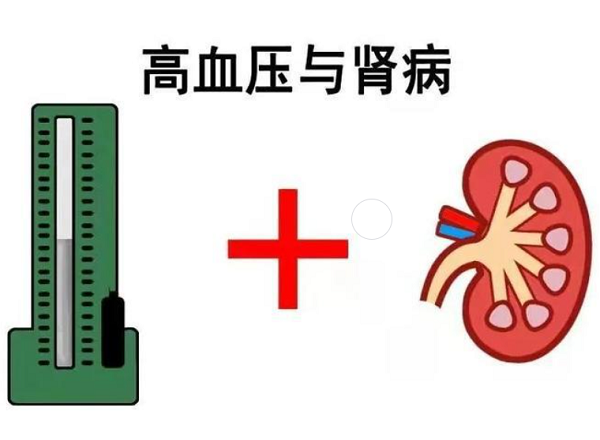 高血压对肾脏有哪些危害？