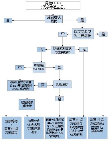 2017年EAU男性LUTS指南解读