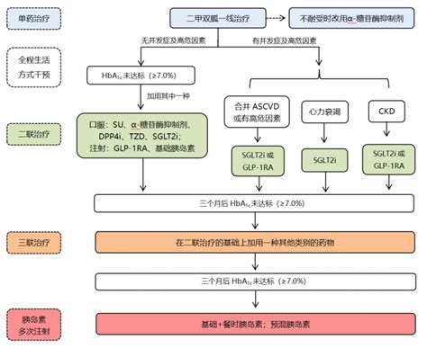 降糖药物如何选择？4 张图帮你理 …
