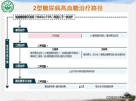 循证医学证据与新诊断2型糖尿病 …