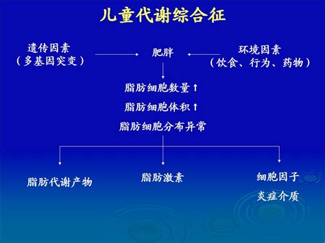儿童肥胖综合干预
