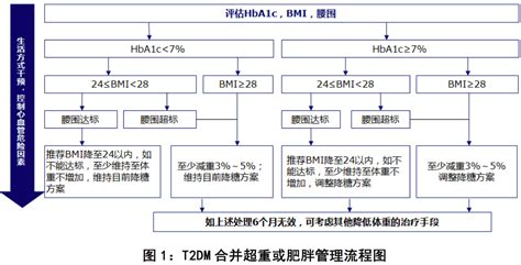 《中国 2 型糖尿病合并肥胖管理专家共识》解读