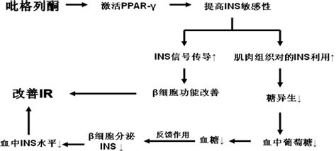 胰岛素增敏剂与ACEI类药物治疗胰岛素抵抗的研究进展_文档下载