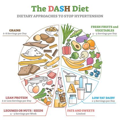 Dash食品飲食作為飲食方法以阻止高血壓大綱圖向量圖 …