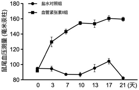 一种持续血管紧张素II灌注引起的小鼠高血压眼底病变模型的制备方法 …
